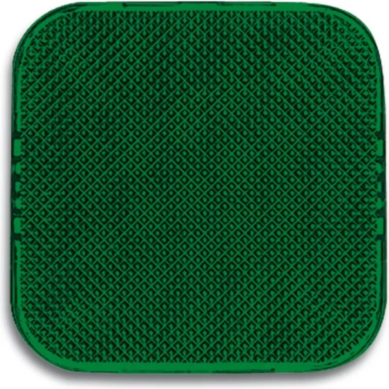 Busch-Jaeger 2526-13 Alarmlichtindikator Green (2CKA001512A0219)