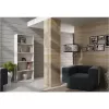 Topeshop R60 BIEL biuro knygų spinta