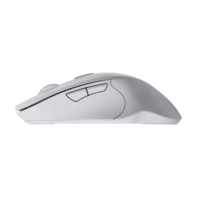 Pelė SBOX WM-308 White USB