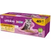 Šlapias kačių maistas Whiskas Junior Paukštiena drebučiuose 40 x 85 g — kačiukams