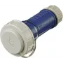 Movos jungtis Schuko 10833 16A2P+E 230V DWD mėlyna (10833)