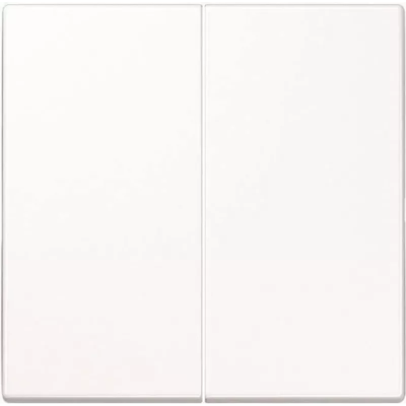 Jung valdymo mygtukas 2 krypčių standartinis LS1702WW (LS1702WW)