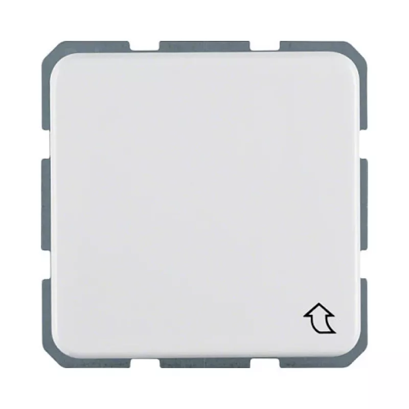 Berker 4715 09 UP-Socket Outlet PWS UP/WG IP44