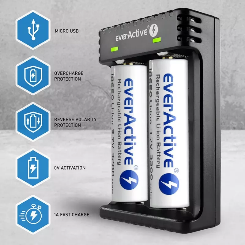 Baterijų įkroviklis everActive LC200 buitinis USB, 2 lizdų, Li-Ion, palaiko A/AA/AAA/AAAA/C/D, 5 V įvestis, 4,2 V išvestis, juodas