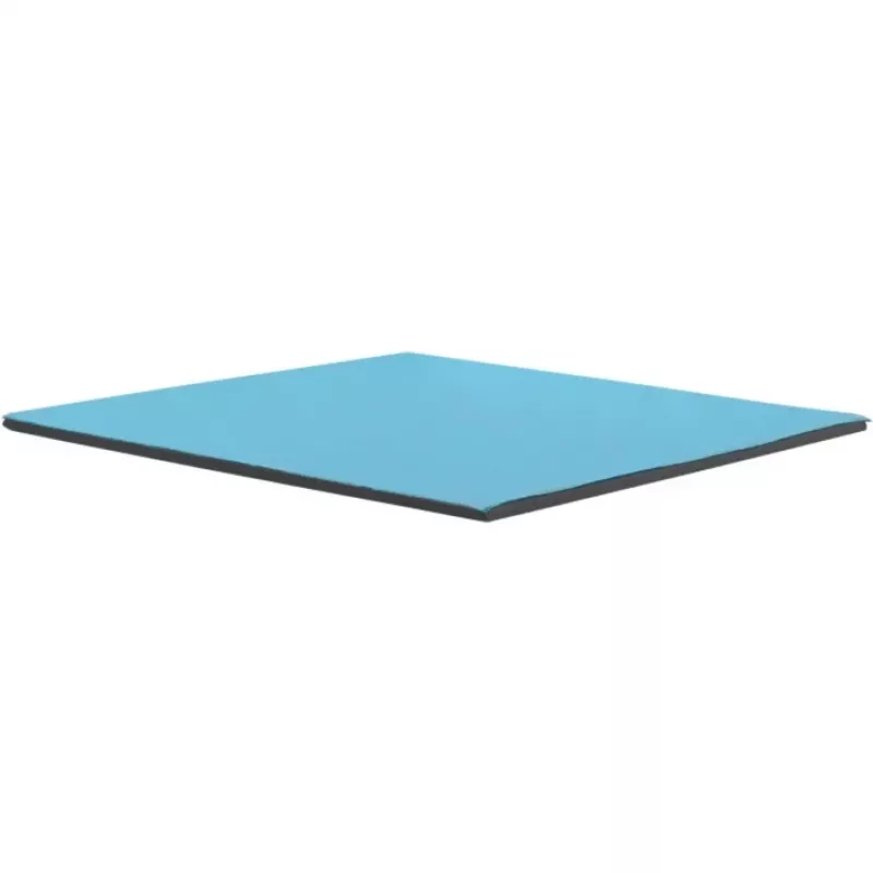 Thermal Grizzly Minus Pad Pro - 100 x 100 x 1,0 mm