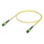 Ubiquiti UACC-OFC-SA-MPMP-1M-10 InfiniBand šviesolaidinis kabelis Geltonas 1m OS2