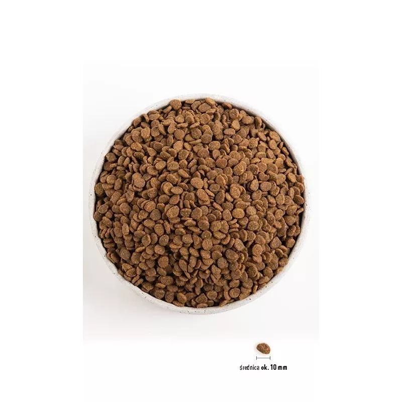 ORIJEN Cat Originali - sausas kačių maistas - 1,8 kg