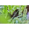 Žarnos laikiklis Gardena 13208-20 juodas antžeminis tvirtinimas