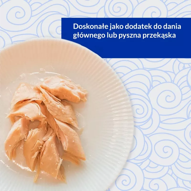 INABA Ciao ant grotelių kepta vištienos filė vištienos skonio sultinyje - kačių skanėstai - 25 g