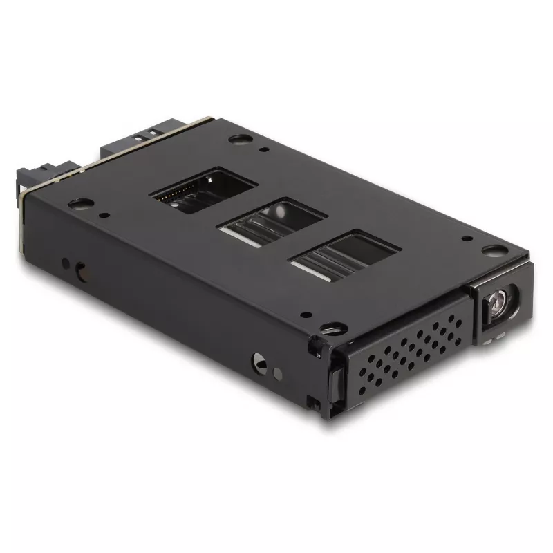 Kietojo disko laikiklis DeLOCK plonas Bay Mobile Rack 2,5 col. U.2 NVMe SSD juodas sidabrinis