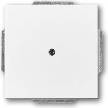 Busch-jaeger 2CKA001710A3161 tinklo įrenginys baltas