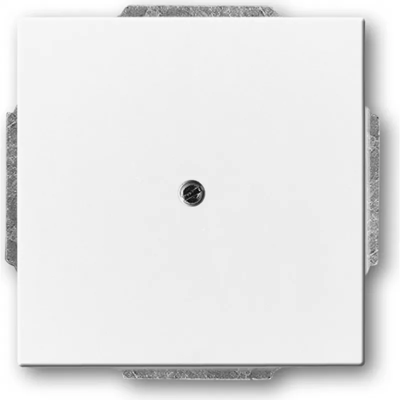 Busch-jaeger 2CKA001710A3161 tinklo įrenginys baltas
