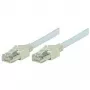 Tecline exertis Connect - Patch-Cable - RJ-45 (M) to RJ-45 (M) - 1 m - Foiled Unshielded Twisted Pair (F/UTP) - CAT 5e - Halogen-Free - Pilka (72701)