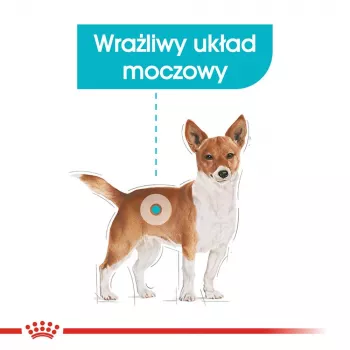 Sausas šunų maistas Royal Canin Mini Urinary Care 3 kg — mažoms veislėms, paukštiena, 27% baltymų, 16% riebalų