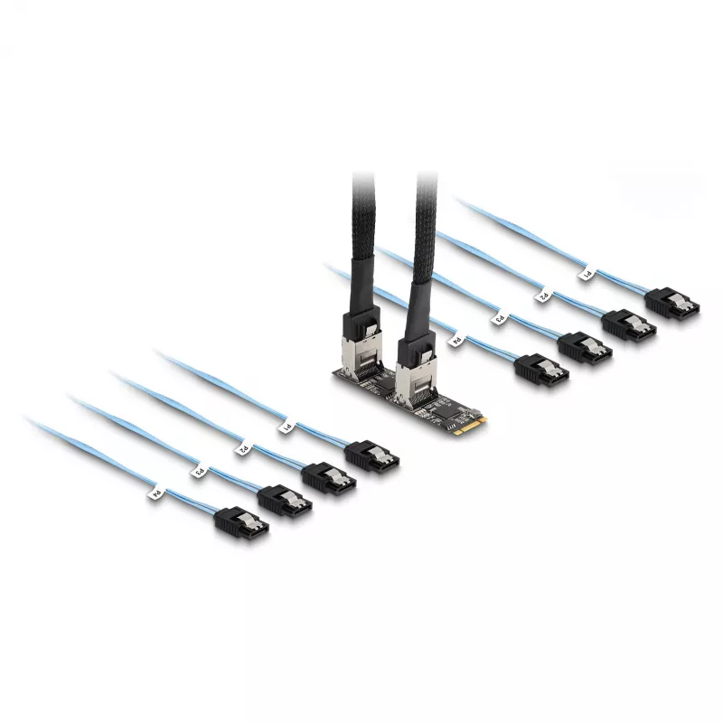 DeLOCK keitiklis M.2 2280 Key B+M kištukinis į 8 x SATA