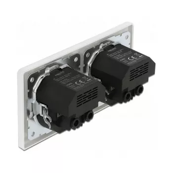 Sieninis lizdas DeLOCK 2 krypčių su 4 USB prievadais 2 x 2.8 A