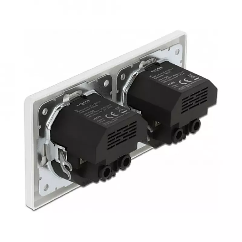 Sieninis lizdas DeLOCK 2 krypčių su 4 USB prievadais 2 x 2.8 A