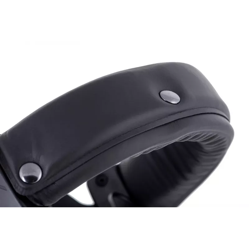 Ausinės Beyerdynamic DT 770 PRO 250 OHM Juoda Limited Edition