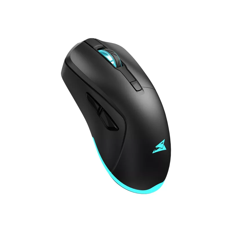 Pelė Baracuda BGM-121 Turtle juoda USB