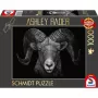 Ashley Rader: Dominance - Widder, Im Zeichen des Feuers, dėlionė 1000 detalių