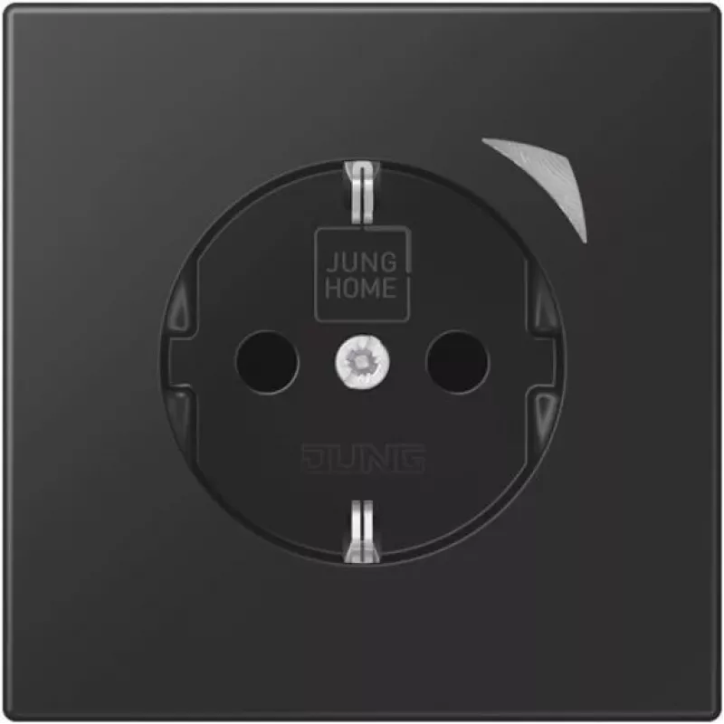 Jung HOME SCHUKO BTLS1521SSWM kištukinis lizdas 1 (BTLS1521SSWM)