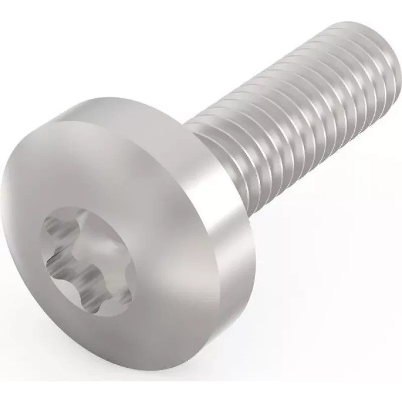 Schroff Pentair Techn. Varžtas 24560-130 VE100 (24560130)