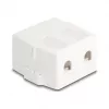 Užfiksuojamas rėmelis DeLOCK 85843 Plastikinis Baltas 545x573x324 mm