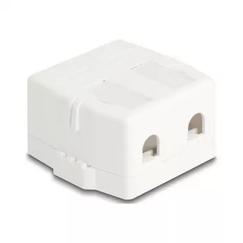 Užfiksuojamas rėmelis DeLOCK 85843 Plastikinis Baltas 545x573x324 mm