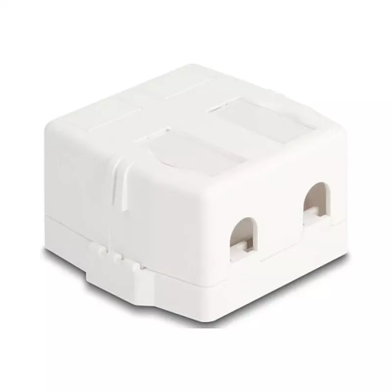 Užfiksuojamas rėmelis DeLOCK 85843 Plastikinis Baltas 545x573x324 mm