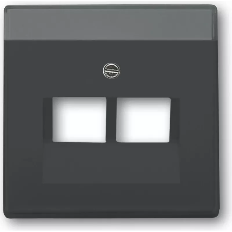 Busch-jaeger 2CKA001710A3615 tinklo įrenginys