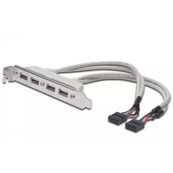 Lizdo laikiklio kabelis USB 2.0 HighSpeed Type 2xIDC (5pin)/4xUSB A M/F pilkas 0,25 m