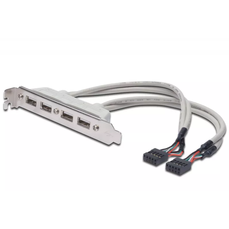 Lizdo laikiklio kabelis USB 2.0 HighSpeed Type 2xIDC (5pin)/4xUSB A M/F pilkas 0,25 m
