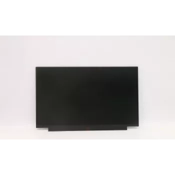 LCD ekrano skydelis Lenovo FRU02HL701 AUO 13,3 colio 250 nit