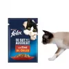 Šlapias kačių maistas Purina Felix daug baltymų 100 g pakelis — žuvies ir vištienos skonio, suaugusioms katėms, pakuotėje 120 vnt.