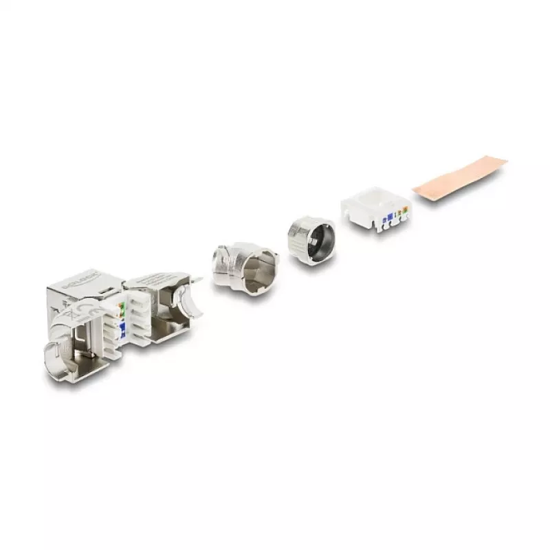 DELOCK Keystone modulis RJ45 lizdas į LSA Cat.6A be įrankių 45° kampuotas ekranuotas su metaliniu fiksatoriumi