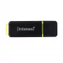 „Flash“ atmintinė USB3.1 64GB/3537490 INTENSO
