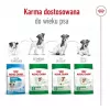 Sausas šunų maistas Royal Canin Adult Mini S 8 kg — visavertė mityba mažiems suaugusiems šunims