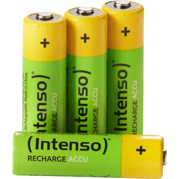 Intenso 7505624 Baterija