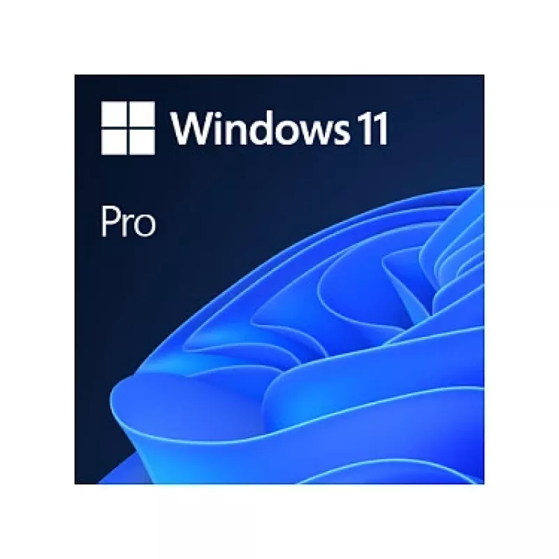 Windows 11 Pro 64Bit DSP 1pk Dutch DVD