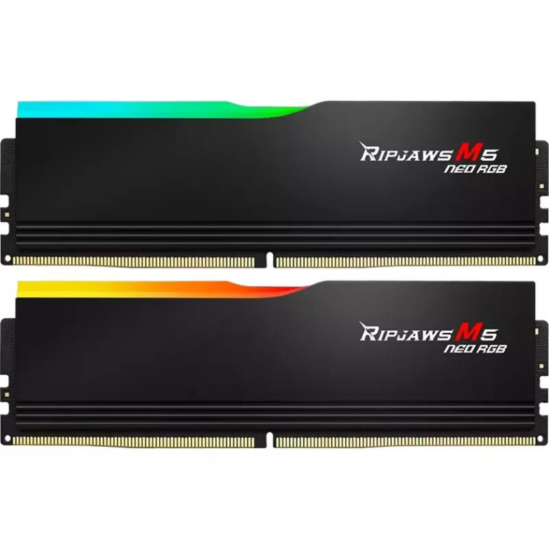 G.skill F5-6000J3636F16GX2-RM5NRK atminties modulis
