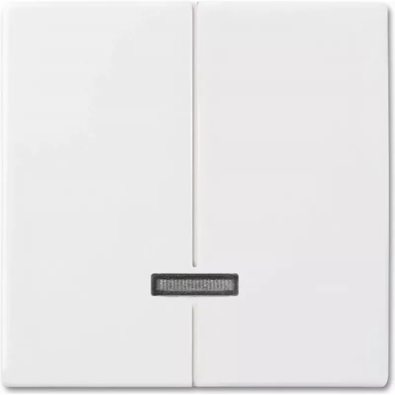 Busch-jaeger 6545-914 tinklo įrenginys
