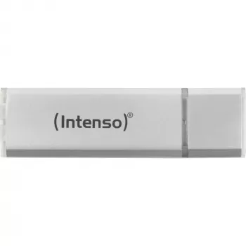 USB atmintukas Intenso 256 GB USB Type-A 3.2 Gen 1 Sidabrinis