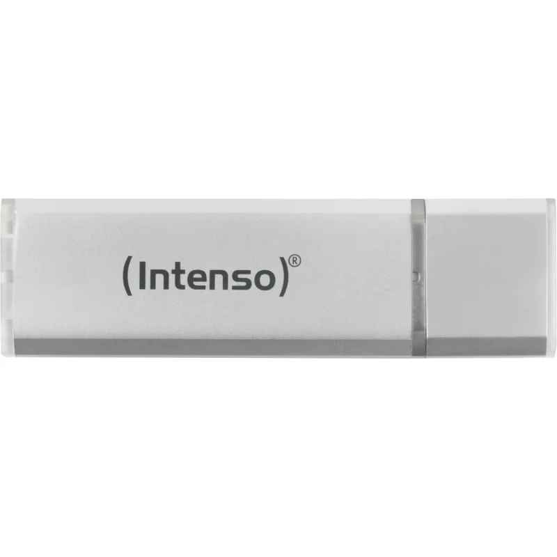 USB atmintukas Intenso 256 GB USB Type-A 3.2 Gen 1 Sidabrinis