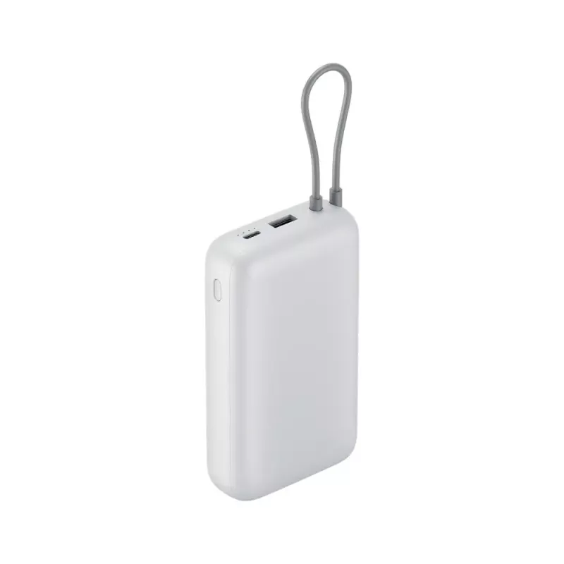 Nešiojamas įkroviklis Xiaomi Power Bank 20000mAh — didelės talpos išorinė baterija, dviguba USB išvestis