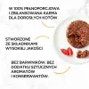 Purina 7613035464032 kačių šlapias maistas 85 g