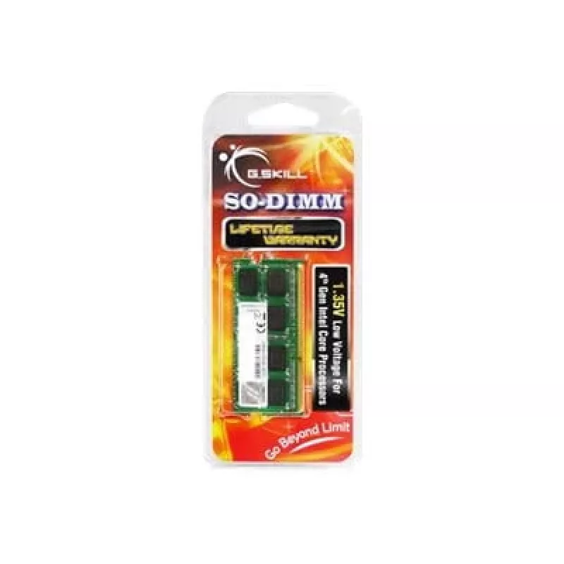 Atminties modulis G.Skill DDR3 4GB 1600MHz