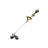 DeWALT DCMST561P1-QW vejapjovė