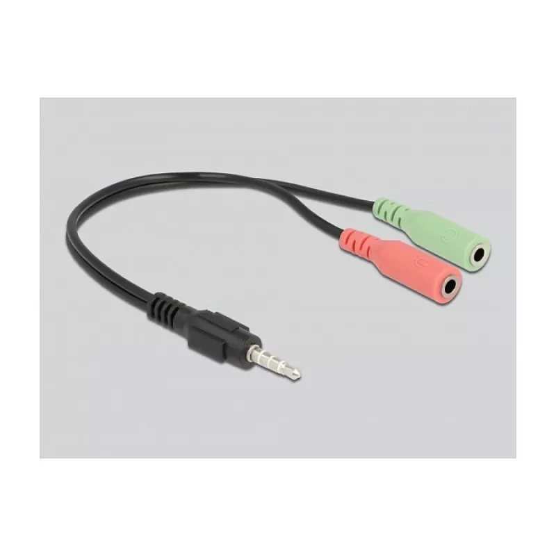 Kompiuterio mikrofonas DeLOCK Professional Computer Podcasting Microphone