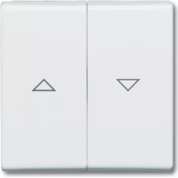 Busch-jaeger 2CKA001731A1650 Tinklo įrenginys Baltas