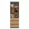 Biuro knygų spintos viršutinė dalis top e shop RS-60 ANT/ART KPL — 3 lentynos, medžio drožlių plokštė, 600×350×1800 mm